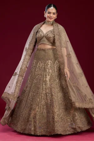 Off White Zariwork Tissue Semi Stitched Lehenga