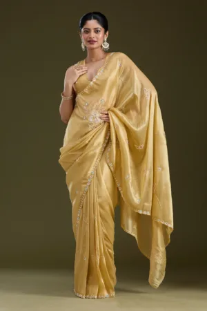 Gold Aariwork Tissue Saree