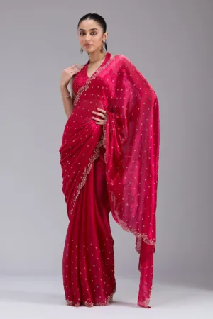 Rani Pink Stonework (Gold) Tissue Saree